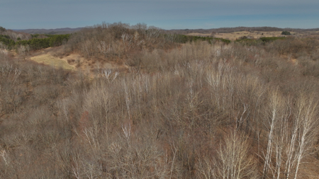 World-Class Recreational and Hunting Property for Sale in Jackson County, Wisconsin - image 13