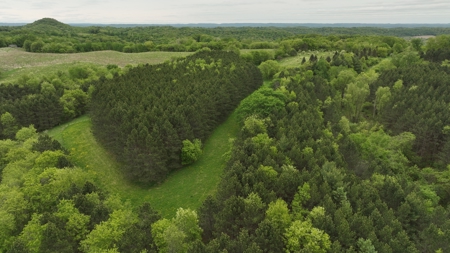 World-Class Recreational and Hunting Property for Sale in Jackson County, Wisconsin - image 15