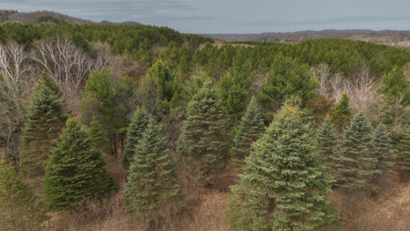 World-Class Recreational and Hunting Property for Sale in Jackson County, Wisconsin - image 40