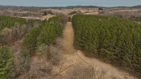 World-Class Recreational and Hunting Property for Sale in Jackson County, Wisconsin - image 16