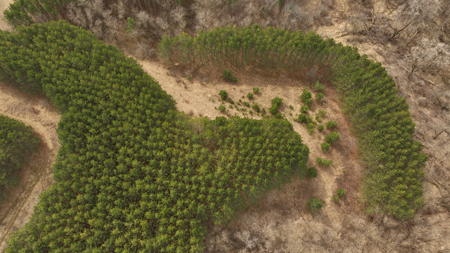 World-Class Recreational and Hunting Property for Sale in Jackson County, Wisconsin - image 39