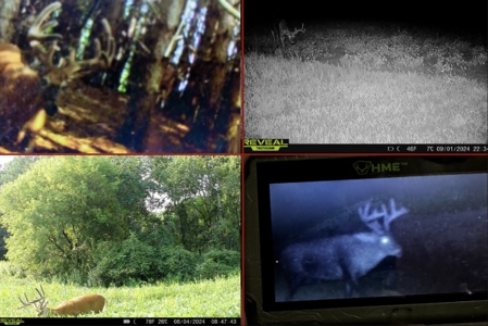 World-Class Recreational and Hunting Property for Sale in Jackson County, Wisconsin - image 32