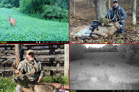 World-Class Recreational and Hunting Property for Sale in Jackson County, Wisconsin - image 42