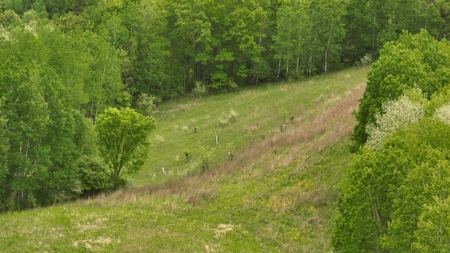 World-Class Recreational and Hunting Property for Sale in Jackson County, Wisconsin - image 36