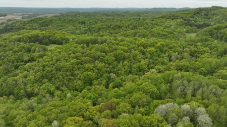 World-Class Recreational and Hunting Property for Sale in Jackson County, Wisconsin - image 17