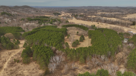 World-Class Recreational and Hunting Property for Sale in Jackson County, Wisconsin - image 17