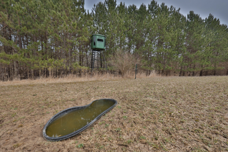 World-Class Recreational and Hunting Property for Sale in Jackson County, Wisconsin - image 8