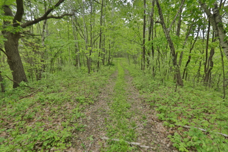 World-Class Recreational and Hunting Property for Sale in Jackson County, Wisconsin - image 29