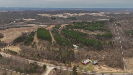 World-Class Recreational and Hunting Property for Sale in Jackson County, Wisconsin - image 3