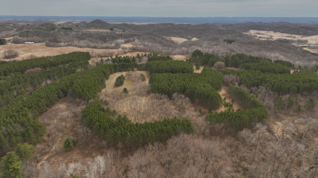 World-Class Recreational and Hunting Property for Sale in Jackson County, Wisconsin - image 38