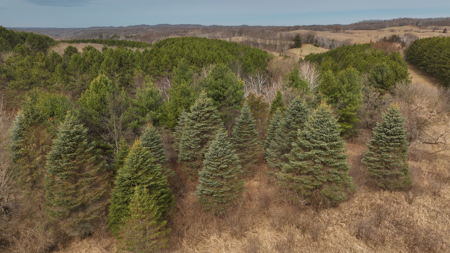 World-Class Recreational and Hunting Property for Sale in Jackson County, Wisconsin - image 14