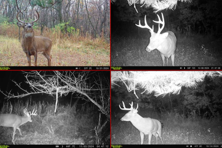 World-Class Recreational and Hunting Property for Sale in Jackson County, Wisconsin - image 10