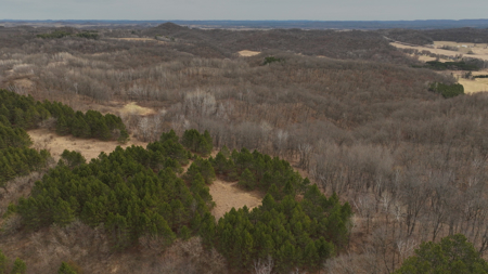 World-Class Recreational and Hunting Property for Sale in Jackson County, Wisconsin - image 19