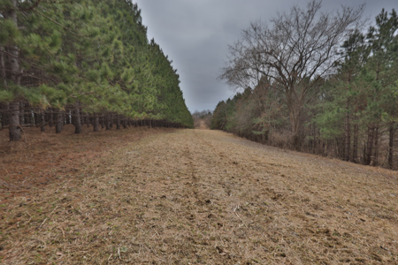 World-Class Recreational and Hunting Property for Sale in Jackson County, Wisconsin - image 47