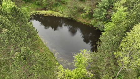 World-Class Recreational and Hunting Property for Sale in Jackson County, Wisconsin - image 3