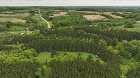 World-Class Recreational and Hunting Property for Sale in Jackson County, Wisconsin - image 19