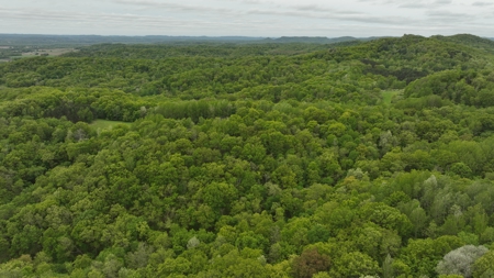 World-Class Recreational and Hunting Property for Sale in Jackson County, Wisconsin - image 43