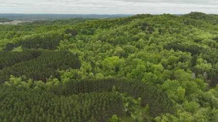 World-Class Recreational and Hunting Property for Sale in Jackson County, Wisconsin - image 13