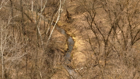 World-Class Recreational and Hunting Property for Sale in Jackson County, Wisconsin - image 6