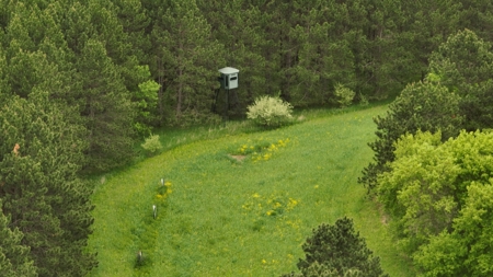 World-Class Recreational and Hunting Property for Sale in Jackson County, Wisconsin - image 24