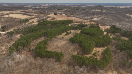 World-Class Recreational and Hunting Property for Sale in Jackson County, Wisconsin - image 41