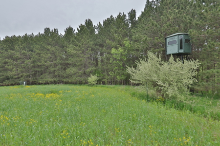 World-Class Recreational and Hunting Property for Sale in Jackson County, Wisconsin - image 22