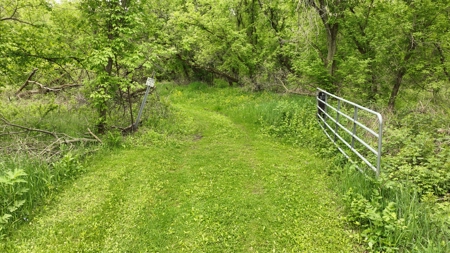 World-Class Recreational and Hunting Property for Sale in Jackson County, Wisconsin - image 47