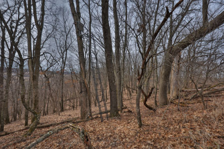 World-Class Recreational and Hunting Property for Sale in Jackson County, Wisconsin - image 27