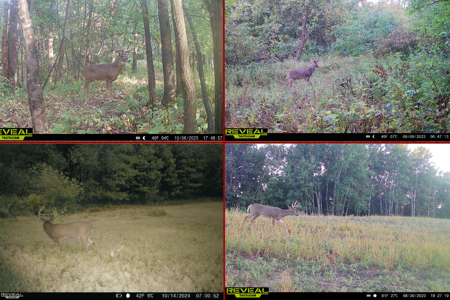 World-Class Recreational and Hunting Property for Sale in Jackson County, Wisconsin - image 20