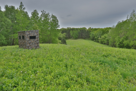 World-Class Recreational and Hunting Property for Sale in Jackson County, Wisconsin - image 5