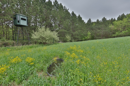 World-Class Recreational and Hunting Property for Sale in Jackson County, Wisconsin - image 4