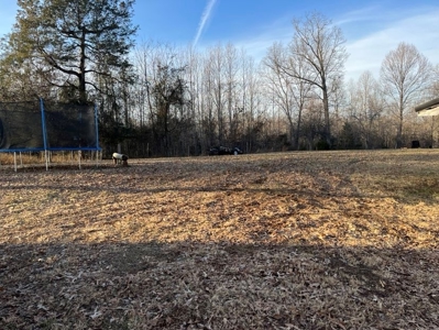 Country Home for sale in Allen County, Kentucky - image 4