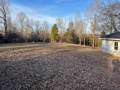 Country Home for sale in Allen County, Kentucky - image 5