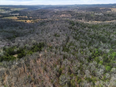 2 Amazing Properties within a mile of each other in Gainesville, MO - image 30