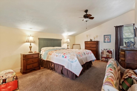 2 Amazing Properties within a mile of each other in Gainesville, MO - image 16