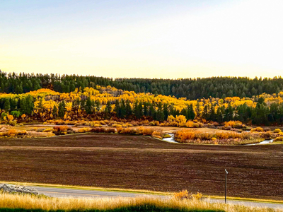 4 Bedroom 3 Bathroom on 3.62 Acres in Lewistown, Montana - image 35