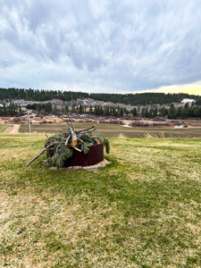 4 Bedroom 3 Bathroom on 3.62 Acres in Lewistown, Montana - image 16