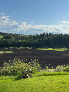 4 Bedroom 3 Bathroom on 3.62 Acres in Lewistown, Montana - image 20