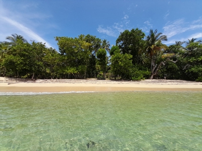 Surfer's DREAM Cabin, Bocas del Toro Panama - image 6