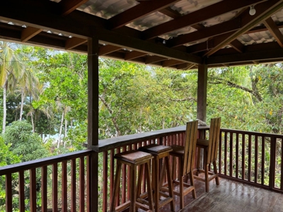 Surfer's DREAM Cabin, Bocas del Toro Panama - image 22