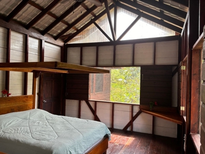 Surfer's DREAM Cabin, Bocas del Toro Panama - image 19