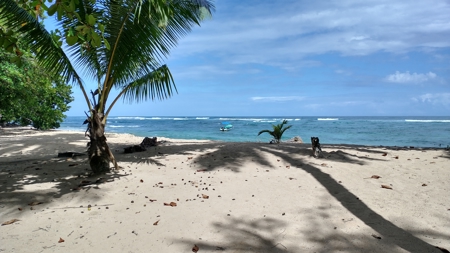 Surfer's DREAM Cabin, Bocas del Toro, Panama - image 26