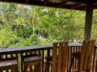 Surfer's DREAM Cabin, Bocas del Toro Panama - image 14