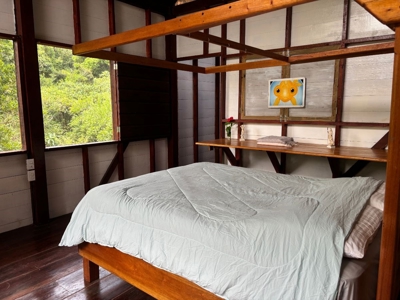 Surfer's DREAM Cabin, Bocas del Toro Panama - image 17