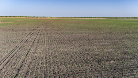 Rare 407-Acre Texas Ranch in Sandia, TX - image 12