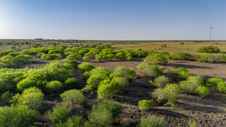 Rare 407-Acre Texas Ranch in Sandia, TX - image 13
