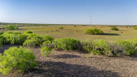 Rare 407-Acre Texas Ranch in Sandia, TX - image 14