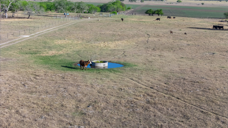 Rare 407-Acre Texas Ranch in Sandia, TX - image 8