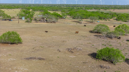 Rare 407-Acre Texas Ranch in Sandia, TX - image 9