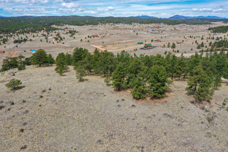 4 Acres of Scenic Colorado Land for Sale - image 11